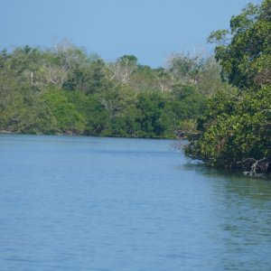 P1030320
