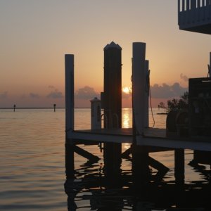 P1030335