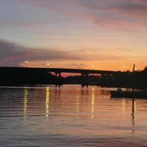 P1030355