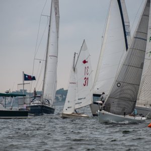regatta8