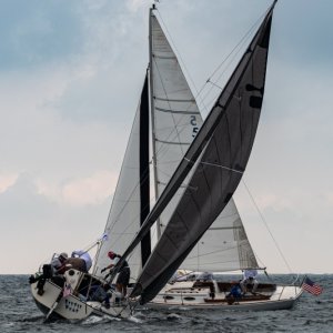 regatta9