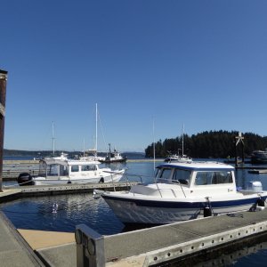 Back to the dock with my lunch and Catman is there now too!
