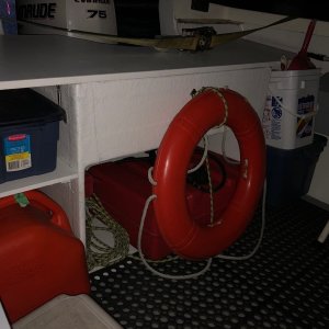 New shelf means more organized at back