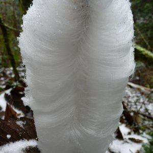 The bottom of an ice flower