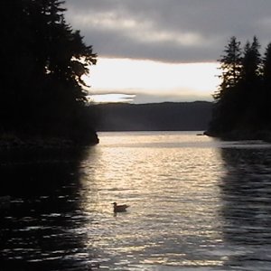 View of Favorite Channel from Amalga Harbor