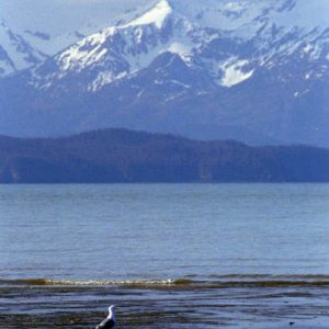 03 film hmer (4).jpg