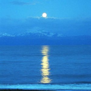 03 film hmer (6).jpg