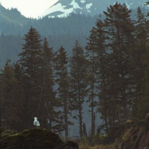 03 film hmer (7).jpg