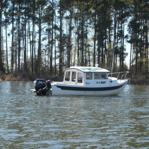 Media 'ANCHORED IN A QUIET COVE ON TOLEDO BEND LAKE, LA.' in album 'ANCHORED IN A QUIET COVE ON TOLEDO BEND LAKE, LA.'