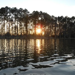 Media 'TIME FOR SUNDOWNERS' in album 'ANCHORED IN A QUIET COVE ON TOLEDO BEND LAKE, LA.'