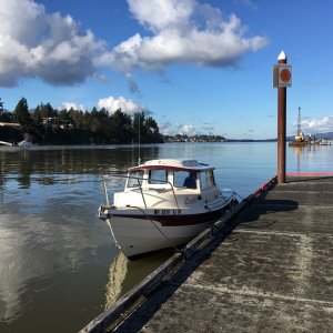 2/5/20 - Sand Island Marine Park, across the channel from St. Helens, WA