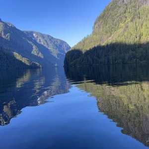 PLI in typical glassy calm