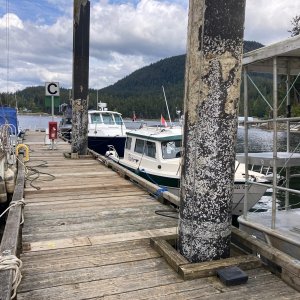 Pender Harbour wharf