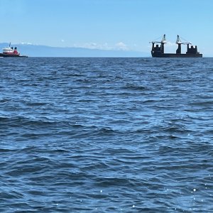 Empty self loading log barge in Gulf of Georgia