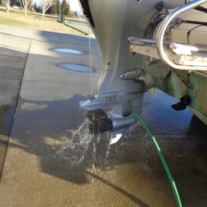Flushing the motor