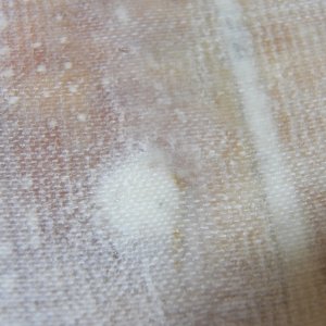 Media 'Here is the other edge (new balsa to the right).  The dividing line has two layers of 6 oz. cloth, with the second layer having strands removed, then the first layer of cloth, with strands removed from its edge.  All was faired by the release cloth.  No sanding and the repair will be easily covered with deck texture.  The light dot in the center is a test hole that was filled with epoxy putty when I determined that the water damage didn't go out that far.' in album 'On the original setup, the fuel filter was between the tanks and screwed to the deck.  It's now hung temporarily from an outboard bolt (above the bilge pump) and exploratory holes have been drilled to find out the condition of the balsa core where it has been breached to install hold-downs for the various gear.'