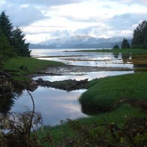 Mouth of 108 Creek at Whale Pass