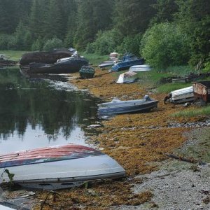 Where boats go to die