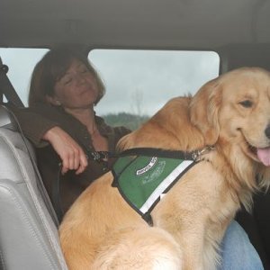 8-03-08     Dawson gets a ride in truck
