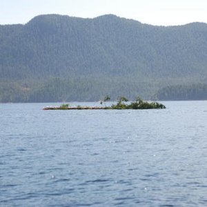 Uncharted Island???? Just a floater!!