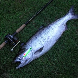 First Blood on the deck 06