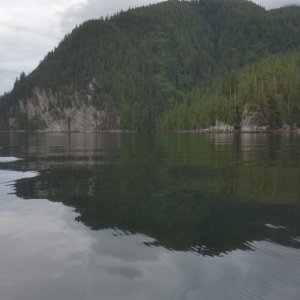 Turning up Cascade Inlet