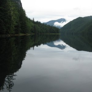 Media 'Dean Channel, looking N. into entrance of Eucott Bay' in album 'Bella Coola Old Cannery'