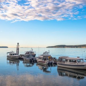 Sequim Anchorage
