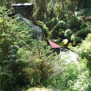 Bear Observatory