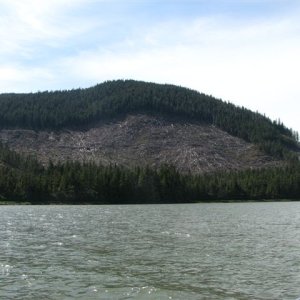 Clear Cut Outside Wrangell