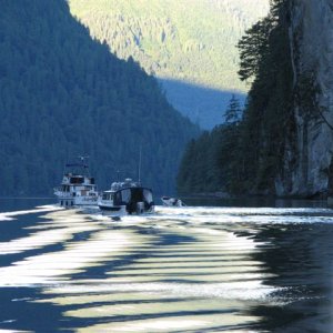 Wild Blue Leaving Princess Luisa