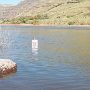 Although the reservoir was low, the river was obviously high.