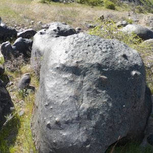 Evidence of high water in the past. The upstream side of this boulder (left) is polished and the right side is rough.