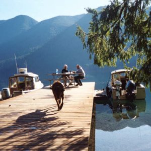 Media 'Dock at Lake Crescent' in album 'Lake Crescent'