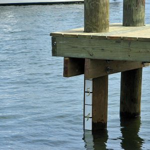 Tide Tables