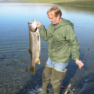 Catch and release