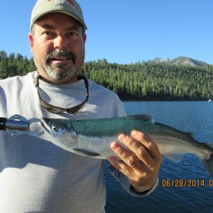 3 lb Kokanee, Lake Tahoe