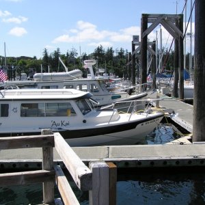 All the boats lined up.