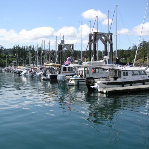 The line up on dock "H".
