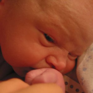 111-1164_IMG.JPG