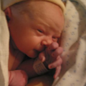 111-1168_IMG.JPG