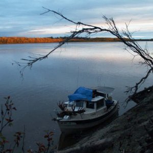 Camp on the Koyukuk.JPG