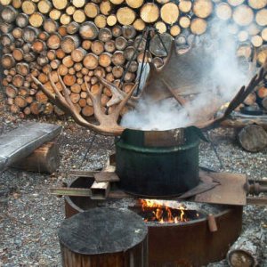Moose soup.JPG