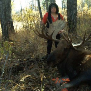 Moose.jpg