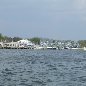 (nscogin) Rock Hall Harbor