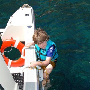 Media '#3 emerging from the depths.  Note the kelp trying to pull him back in.  Isthmus.' in album 'Giant Sea Bass at Catalina'