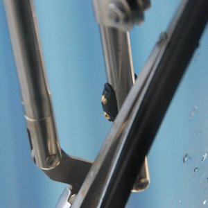 Close up view of the replacement AFI \"wet\" Pantographic arm spray head. There are two adjustable nozzels on each side of the arm that cover large areas of the window.