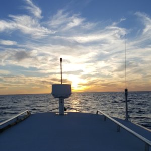 C-Dory Susnet Over Catalina