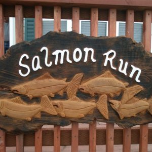 Salmon Run