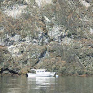 Big C, Watmough Bay